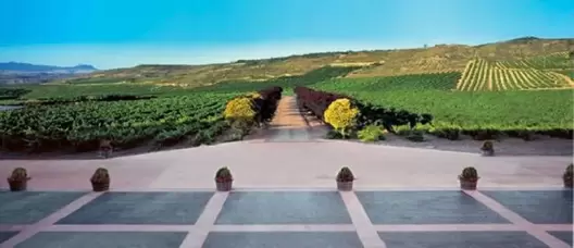 VINO RIALTA RESERVA
