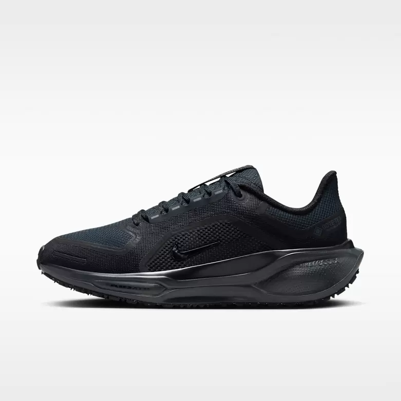 Nike Pegasus 41 GORE-TEX