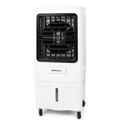 Climatizador AIR80 150W