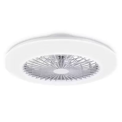 Ventilador De Techo Amigo
