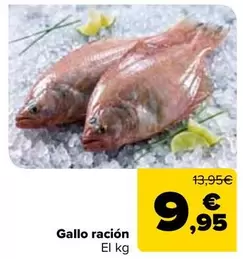 Gallo Racion