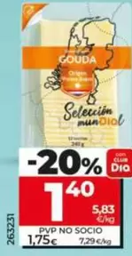 Dia Seleccion Mundial - Queso Gouda En Lonchas