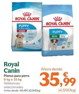 Royal Canin - Pienso Para Perro