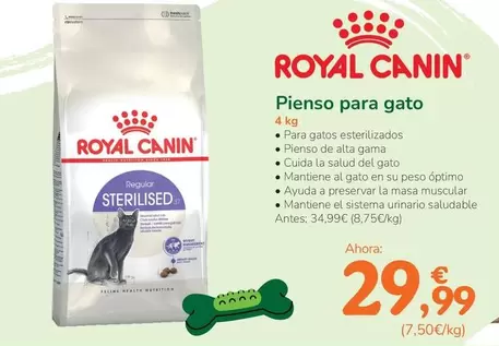 Royal Canin - Pienso Para Gato