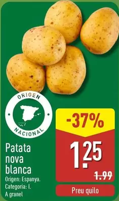 Patata Nova Blanca