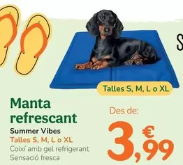 Summer Vibes - Manta Refrescante 