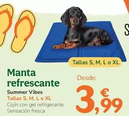 Summer Vibes - Manta Refrescante