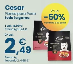 Cesar - Pienso Para Perro Toda La Gama