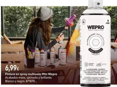 Brillante - Pintura En Spray Multiusos Mtn