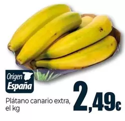 Platano Canario Extra