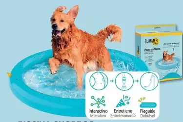 Summer Vibes - Piscina Chorros