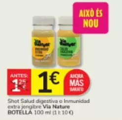 Nature - Shot Salud Digestiva O Immunidad Extra Jengibre