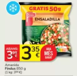 Findus - Amanida