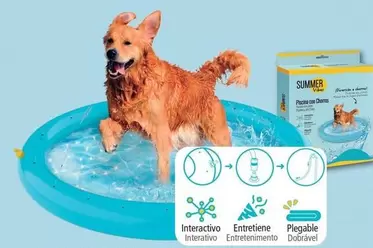 Summer Vibes - Piscina Chorros