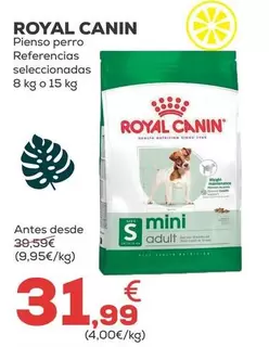 Royal Canin - Pienso Perro Referencias Seleccionadas
