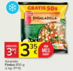 Findus - Amanida