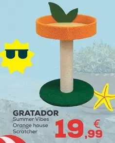Summer Vibes - Rascador