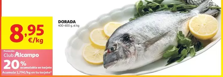 Dorada