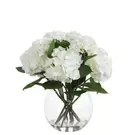 Composition d'Hydrangeas en vase 52 cm - Blanc
