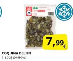 Delfín - Coquina Delfin