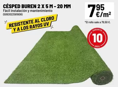 CÉSPED BUREN 2 x 5 M
