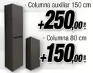 Ferrolan - Columna Auxiliar