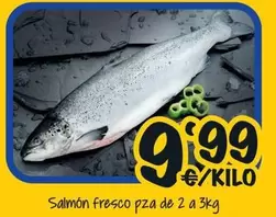 Salmón Fresco