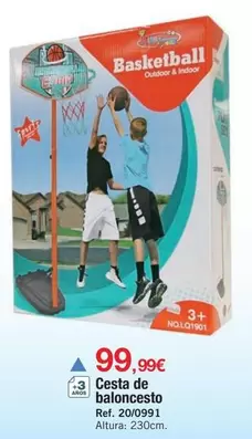 Cesta De Baloncesto