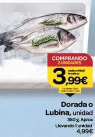 Dorada O Lubina