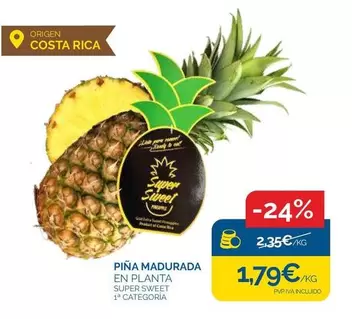 origen - Pina Madurada En Planta Super Sweet