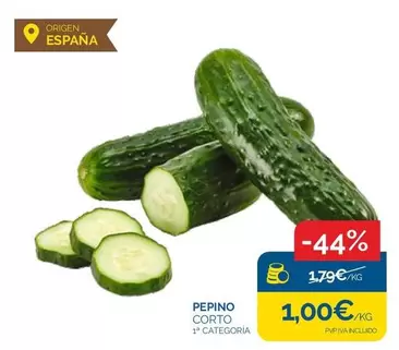 origen - Pepino Corto