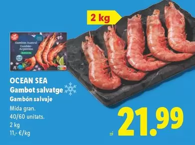Ocean Sea - Gambot Salvaje