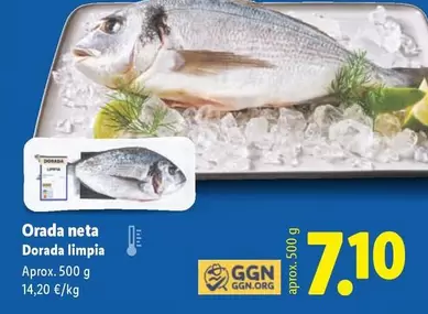 Dorada Limpia