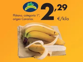 Plátano De Canarias - Plátano