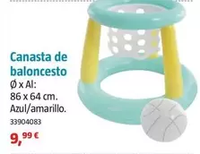 Canasta De Baloncesto