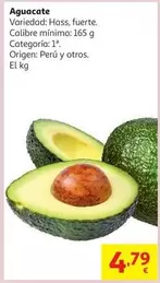origen - Aguacate