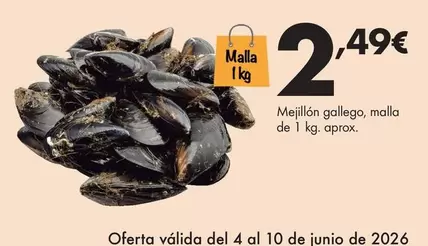 Mejillon Gallego, Malla 