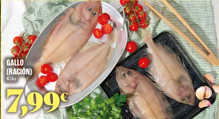 Gallo -