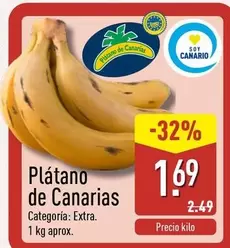 Platano De Canarias