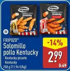 Fripozo - Solomillo Pollo Kentucky