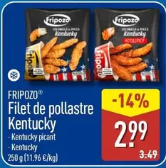 Fripozo - Filet De Pollastre Kentucky