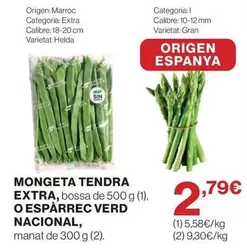 origen - Mongeta Tendra Extra O Esparrec Verd Nacional