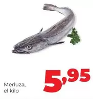 Merluza