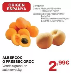 origen - Albercoc O Pressec Groc
