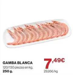 Gamba Blanca