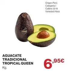 Tropical - Aguacate Tradicional  Queen