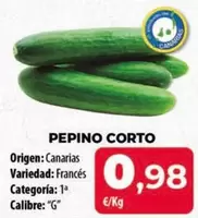 origen - Pepino Corto