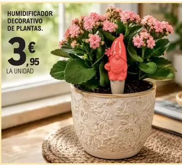 Humidificador Decorativo De Plantas