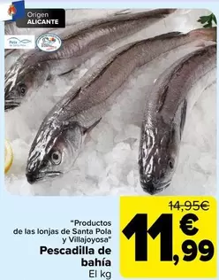 origen - Pescadilla De Bahia