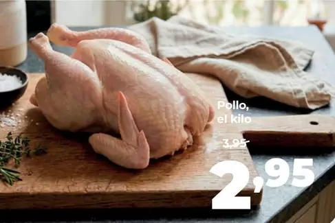 Pollo